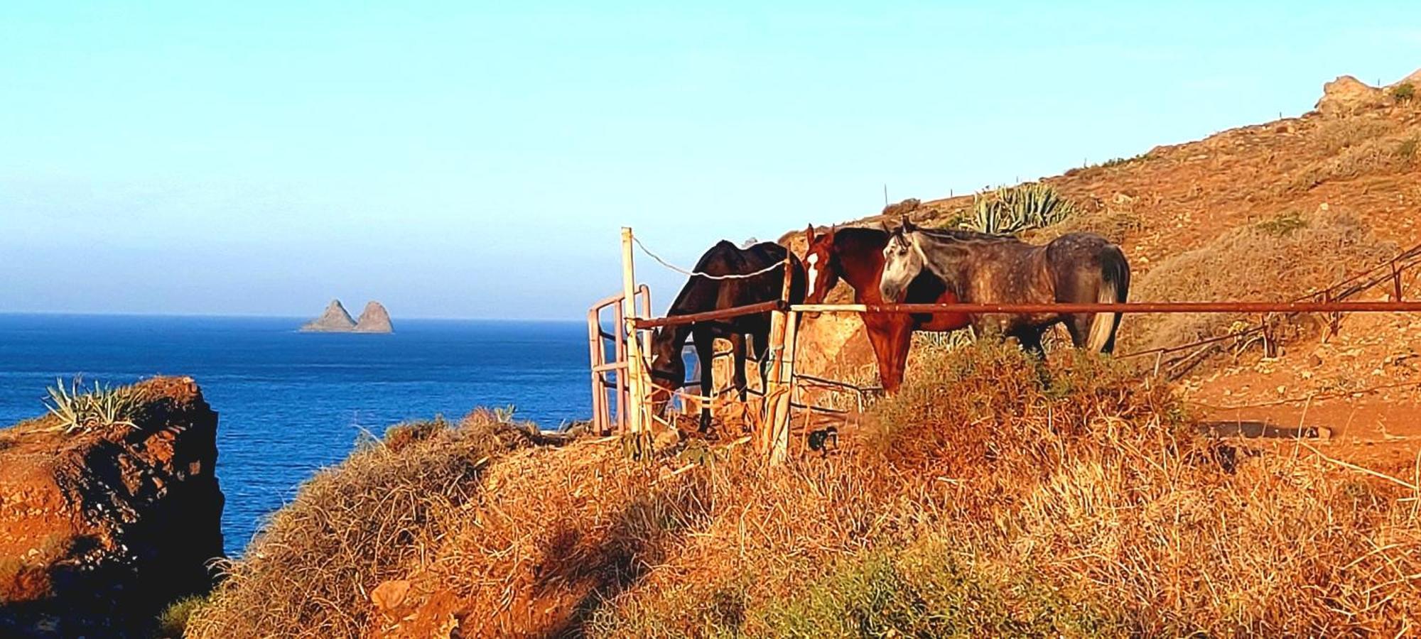 Casa Tucho Paraiso Sea Sound سانتا كروز دي تينيريف المظهر الخارجي الصورة